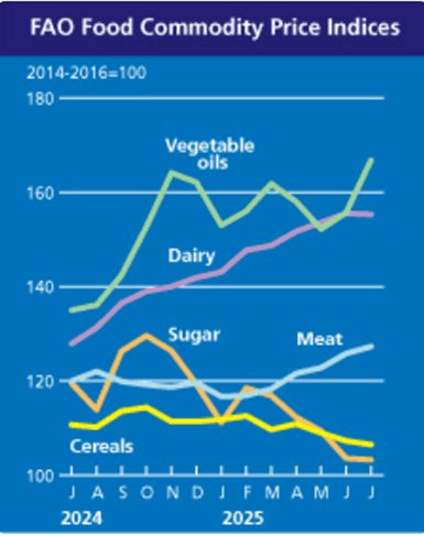 Image related to report content