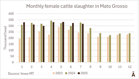 Image related to report content