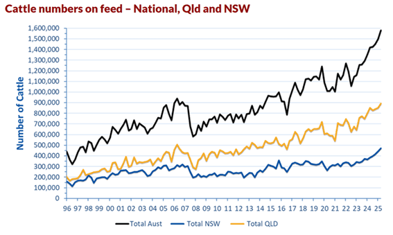 Image related to report content