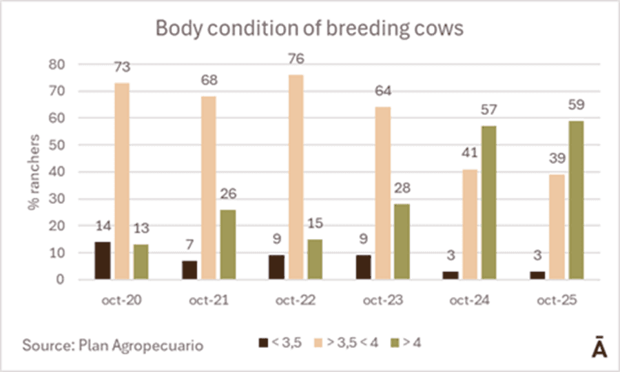 Image related to report content