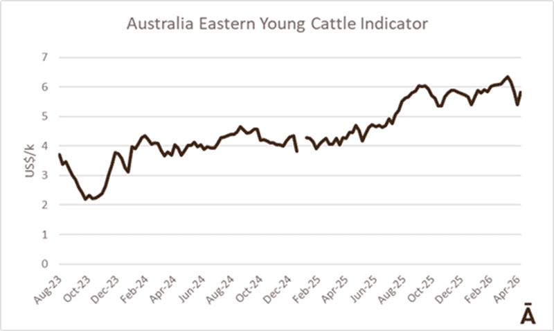 Image related to report content