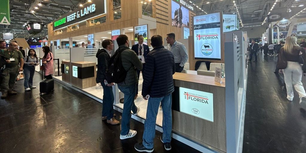 Image related to report content