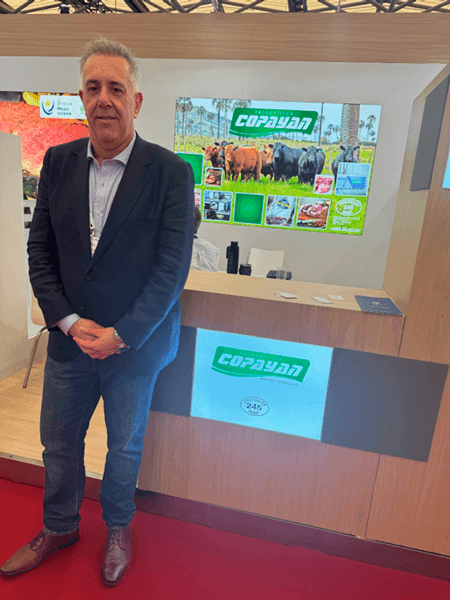 Image related to report content