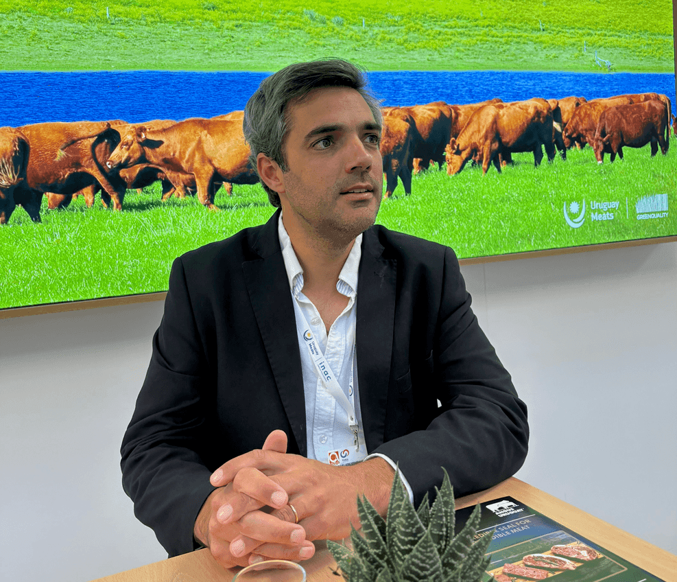 Image related to report content