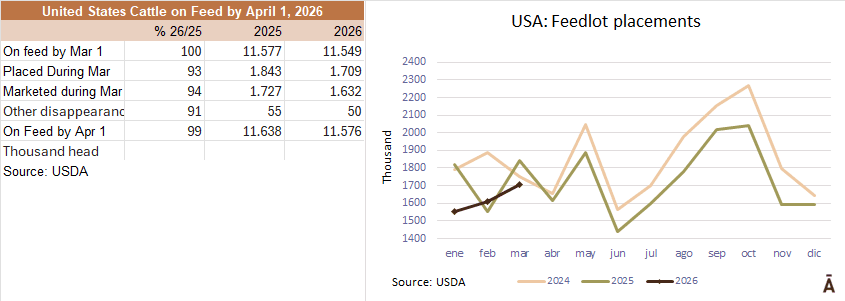 Image related to report content