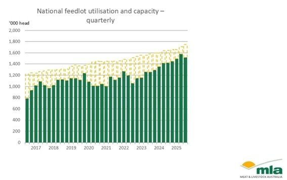 Image related to report content
