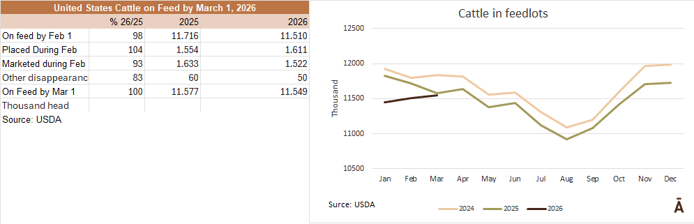 Image related to report content