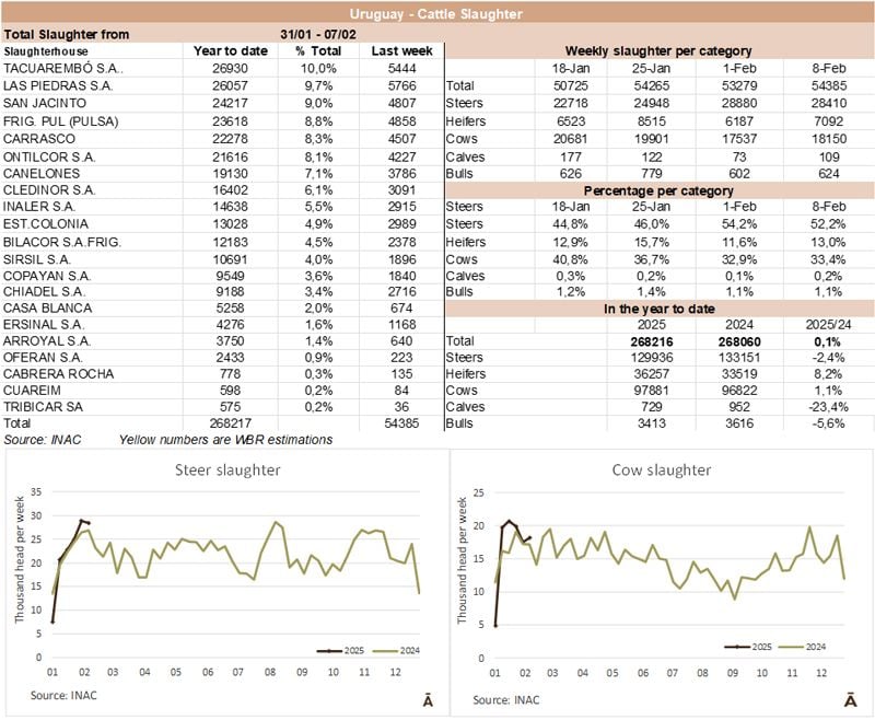 Image related to report content