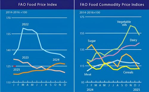 Image related to report content