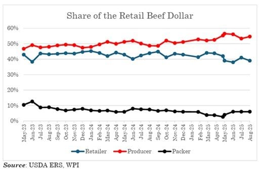 Image related to report content