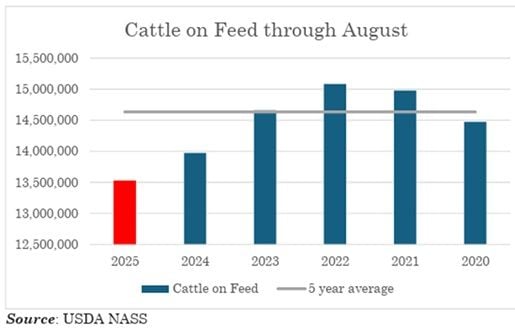 Image related to report content