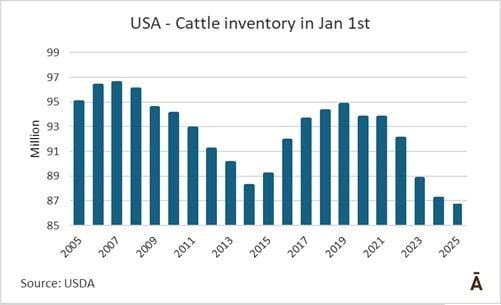 Image related to report content