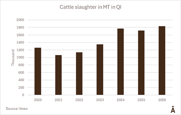 Image related to report content