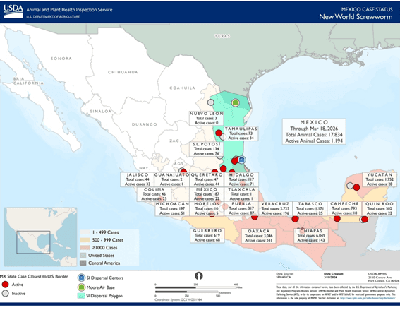 Image related to report content