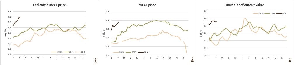 Image related to report content