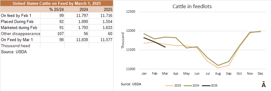 Image related to report content