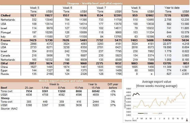 Image related to report content