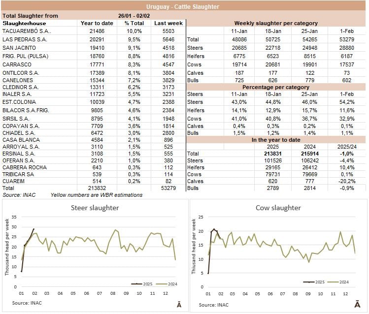 Image related to report content