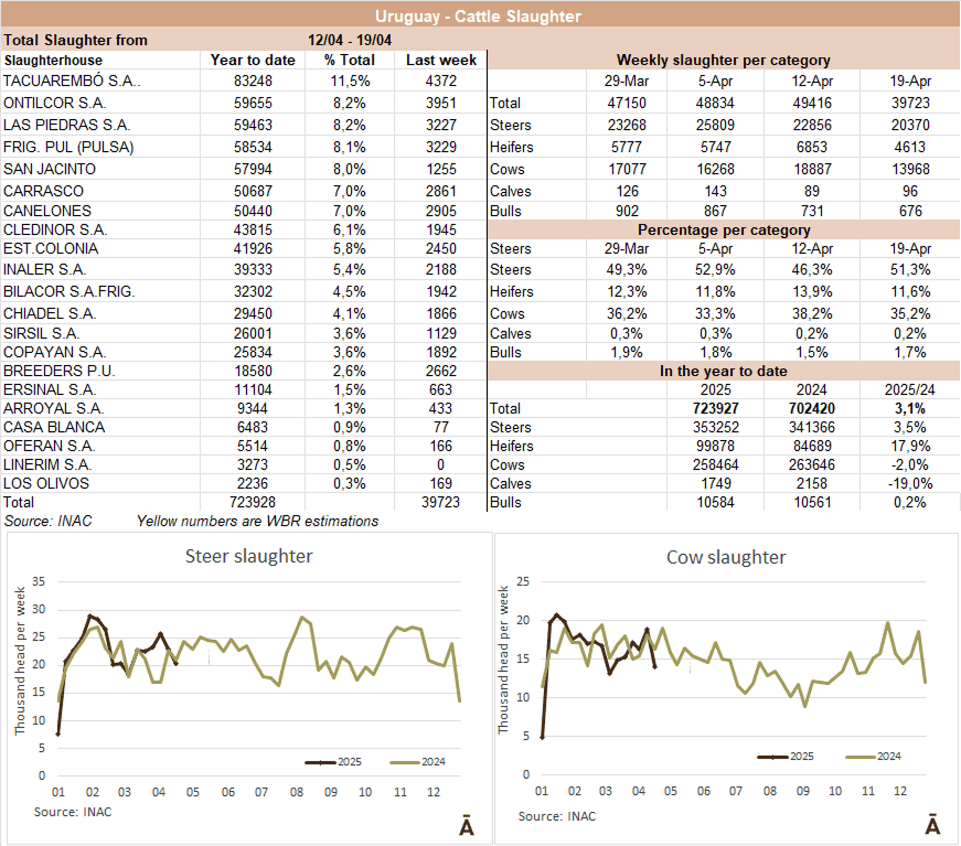 Image related to report content