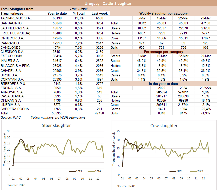 Image related to report content