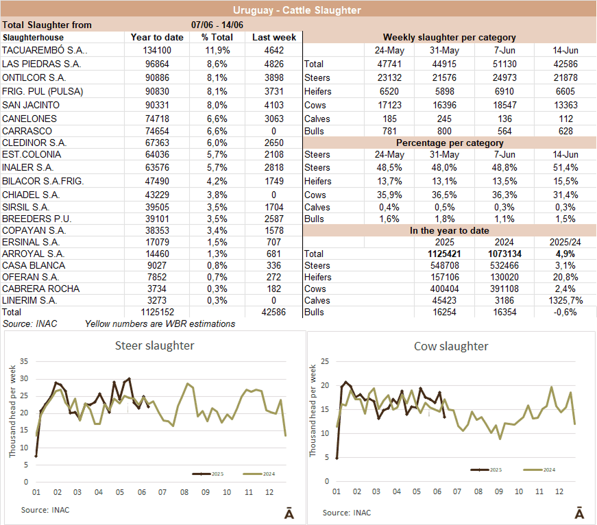 Image related to report content