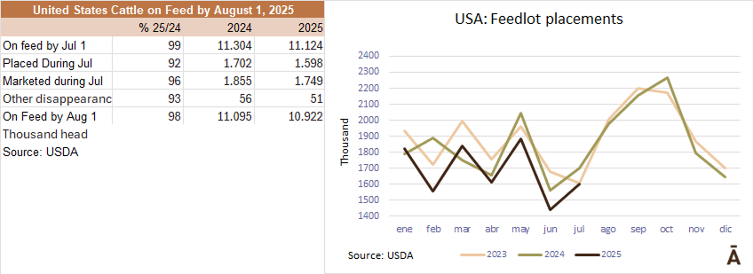 Image related to report content