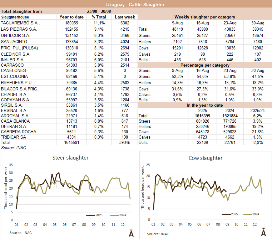 Image related to report content