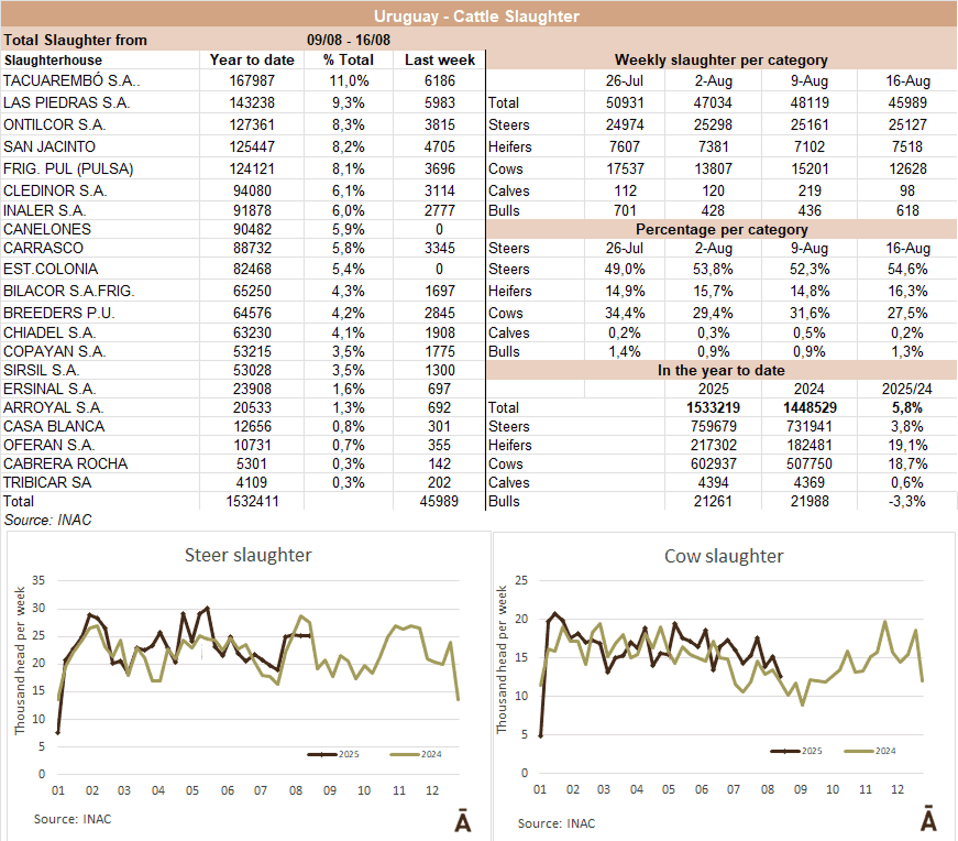 Image related to report content
