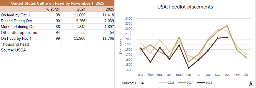 Image related to report content