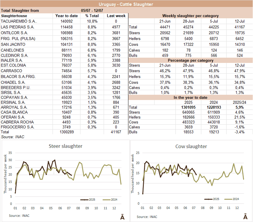 Image related to report content