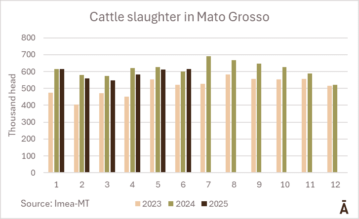 Image related to report content