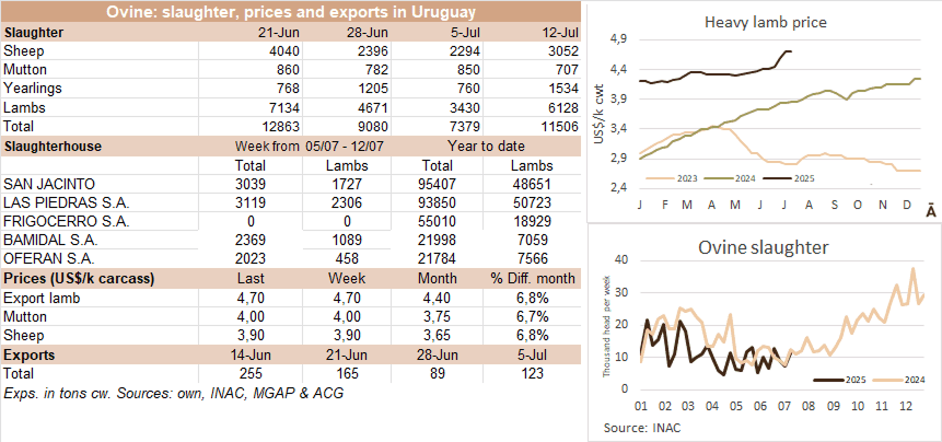Image related to report content