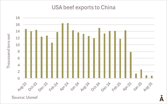 Image related to report content