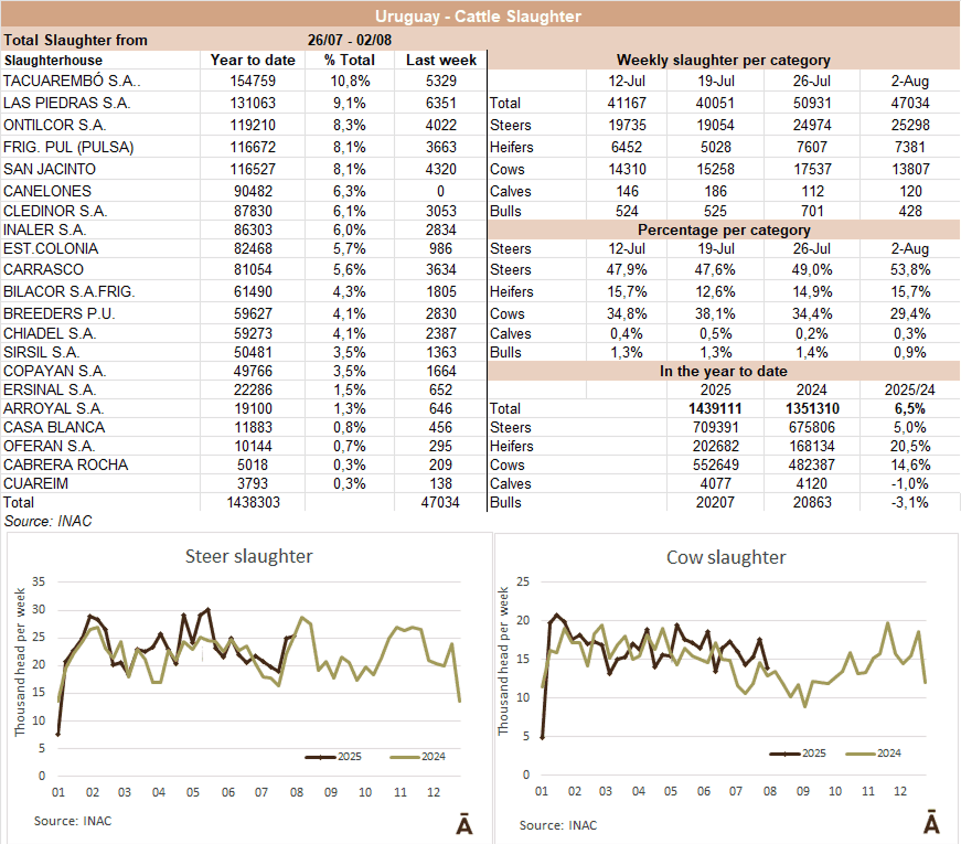 Image related to report content