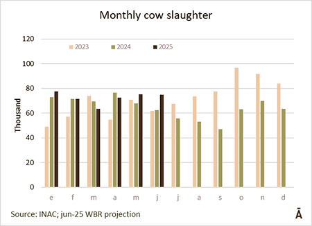 Image related to report content