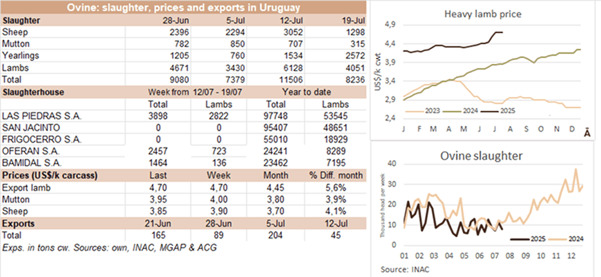 Image related to report content