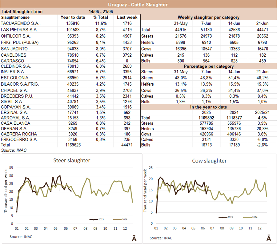 Image related to report content