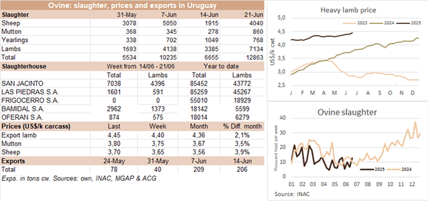 Image related to report content