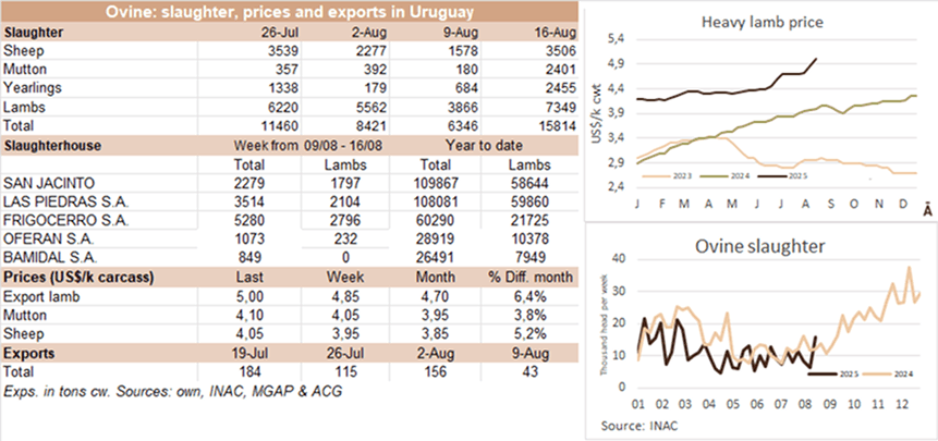 Image related to report content