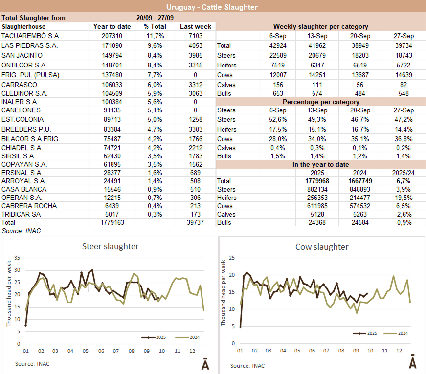 Image related to report content