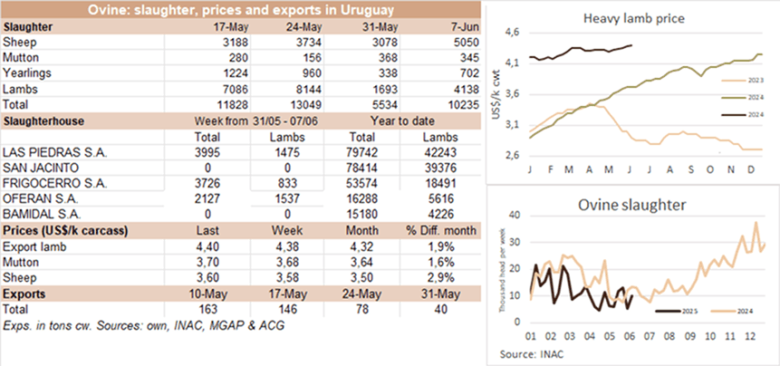 Image related to report content