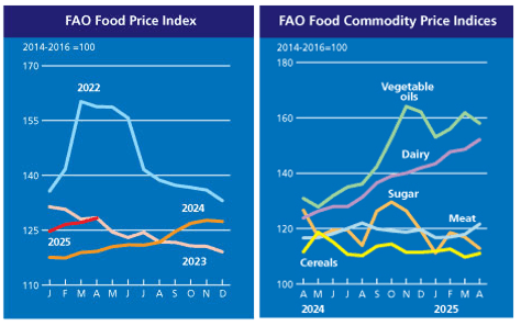 Image related to report content