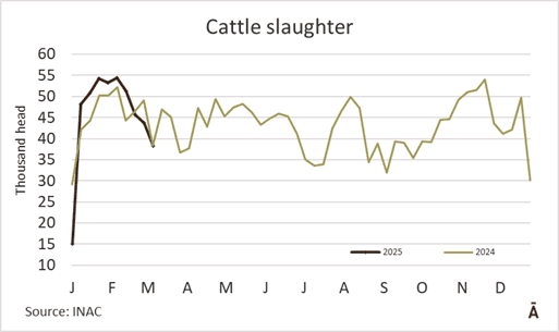 Image related to report content