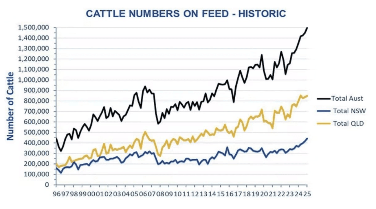 Image related to report content