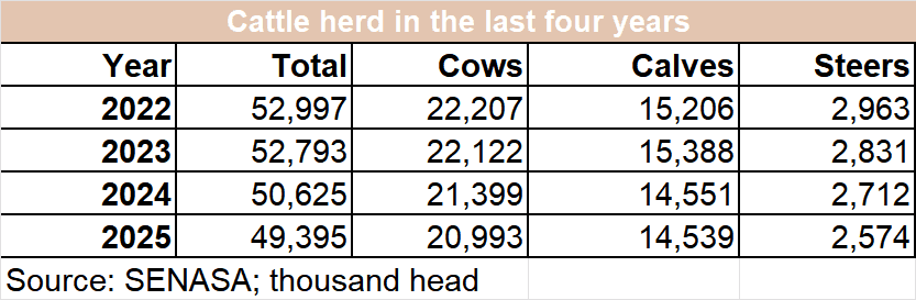 Image related to report content