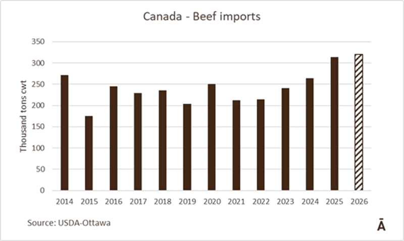 Image related to report content