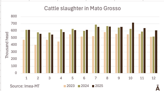 Image related to report content