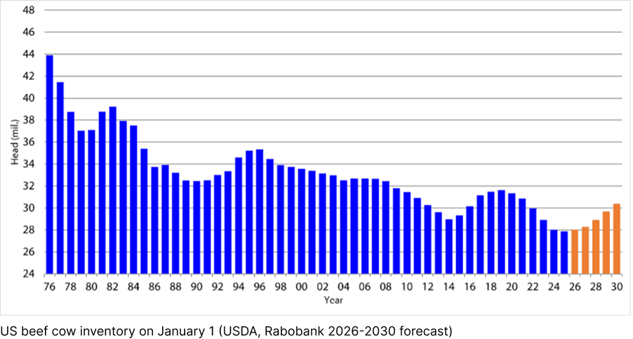 Image related to report content