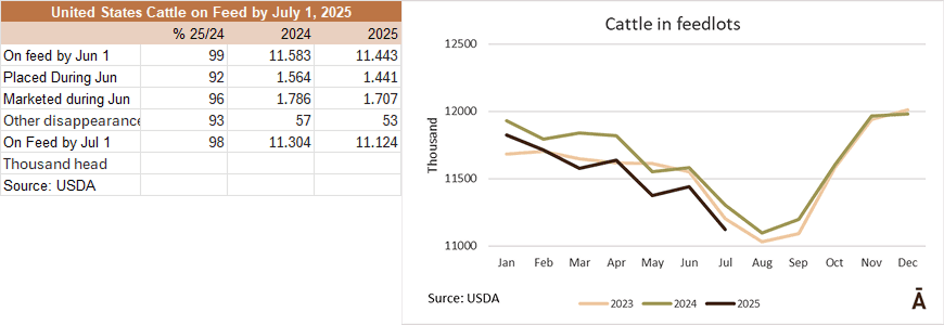 Image related to report content