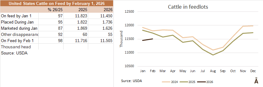 Image related to report content